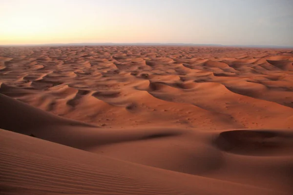 Uma Paisagem Dunas Areia Deserto Sob Luz Sol — Fotografia de Stock