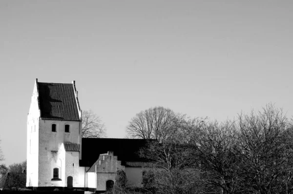 Šedivý Záběr Staré Kaple Obklopené Holými Stromy Denního Světla — Stock fotografie