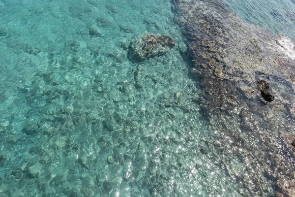 崖の上からの苔むした水と岩場の海岸の眺め — ストック写真