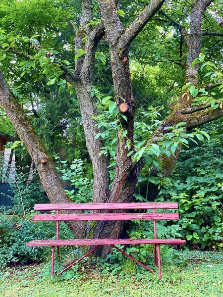 Вертикальный Снимок Старой Деревянной Скамейки Парке — стоковое фото