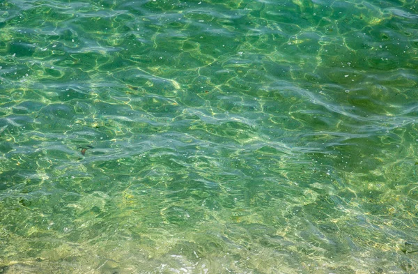 Primo Piano Acqua Mare Verdastra — Foto Stock