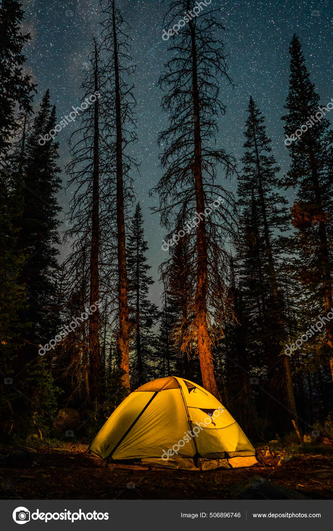 Night Forest - Forest Sounds Channel: Song Lyrics, Music Videos \u0026 Concerts, image size:1067x1700