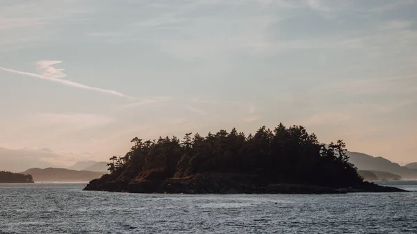 Güneşin Altında Ağaçlarla Çevrili Bir Deniz Manzarası — Stok fotoğraf