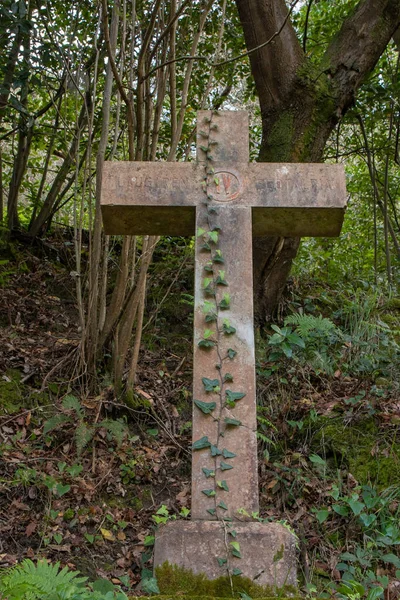 Disparo Vertical Una Vieja Cruz Hormigón Bosque — Foto de Stock