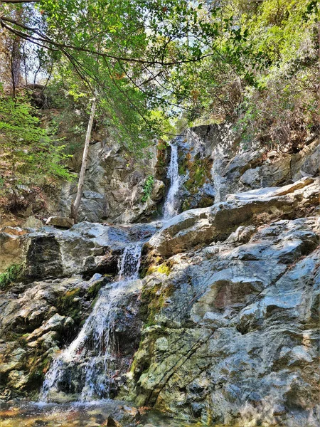 Eine Vertikale Aufnahme Eines Kleinen Wasserfallbaches Wald — Stockfoto