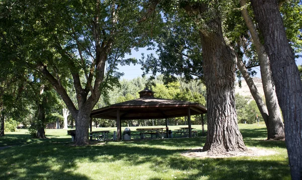 緑の公園内の保護されたピクニック場所 — ストック写真
