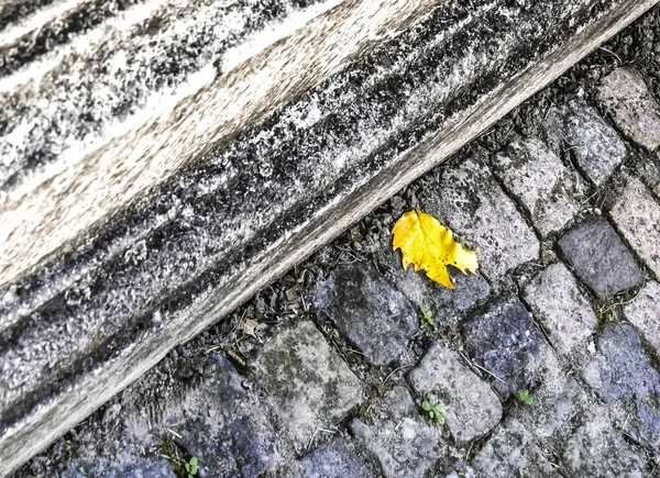 Eine Hochwinkelaufnahme Eines Umgefallenen Gelben Blattes Auf Der Straße — Stockfoto