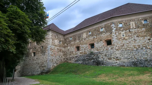 Zdjęcie Bliska Zewnętrznego Widoku Muru Zamku Lublanie Słowenia — Zdjęcie stockowe