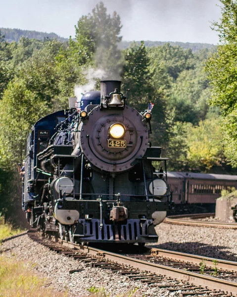 米国ジム ソープ 2017年9月3日 晴れた日に濃密な森の中でレール上の機関車列車の垂直ショット ソープ — ストック写真