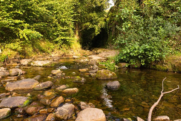 Rzeka Przepływająca Między Kamieniami Gęstym Zielonym Lesie Drzewami Trawą Słoneczny — Zdjęcie stockowe