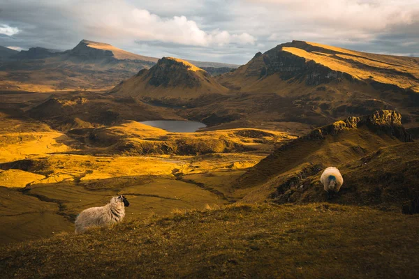 小さな湖 羊の放牧とスコットランドクイリン地滑りの風光明媚なショット — ストック写真