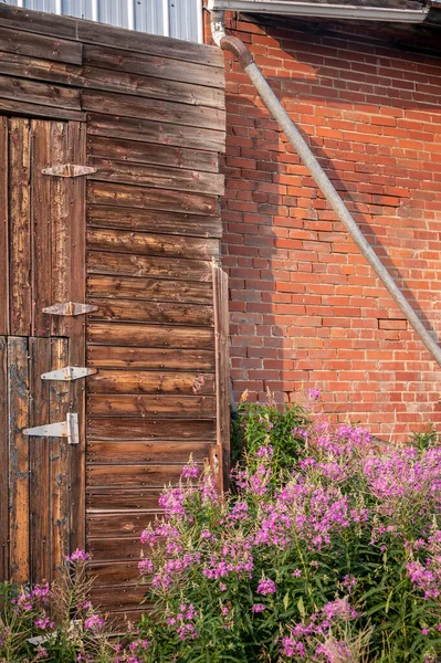 Vertikální Záběr Rustikální Staré Dřevěné Stěny Světle Fialové Květy Vpředu — Stock fotografie