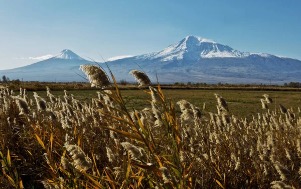 Egy Közeli Kép Területen Mount Ararat Háttérben — Stock Fotó