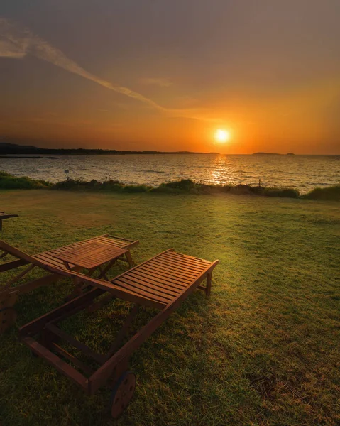 Вертикальний Знімок Красивого Золотого Заходу Сонця Пляжі Двома Дерев Яними — стокове фото