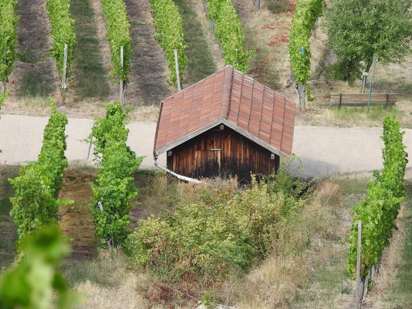 Ein Kleines Haus Auf Dem Feld — Stockfoto