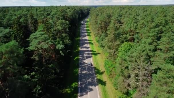 Aerial View Road Forest Fields Roads Distance — Stock Video