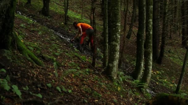 Giovane Escursionista Nella Foresta Montagna — Video Stock