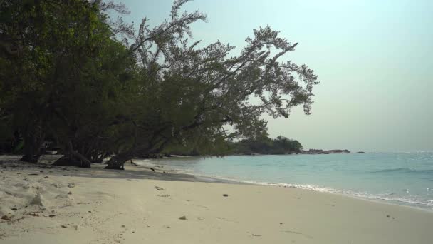 Hermosa Playa Tropical Con Palmeras Cielo Azul — Vídeos de Stock