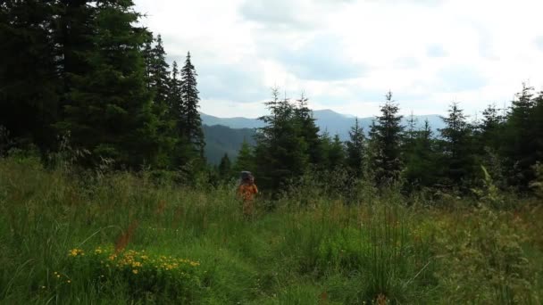 Homem Jovem Caminhadas Floresta Montanha — Vídeo de Stock