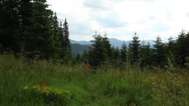 Joven Senderismo Bosque Montaña — Vídeo de stock