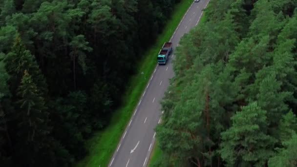 Weg Door Het Bos Snelweg Met Groene Bomen Het Park — Stockvideo