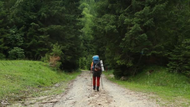 若い男が山の森をハイキングし — ストック動画