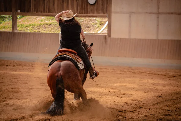 Día Verano Rancho Con Una Mujer Montando Caballo Marrón Con —  Fotos de Stock