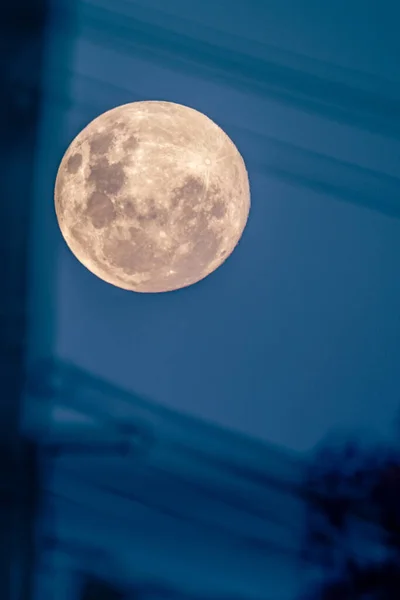 Захоплюючий Вид Вечірній Повний Місяць Над Горизонтом — стокове фото