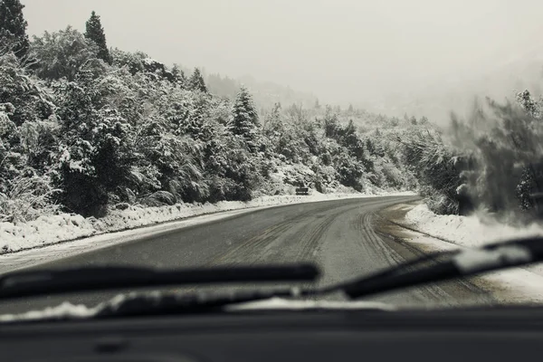 車から見える両側に雪の木の道 — ストック写真