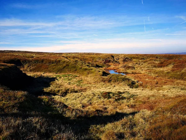 Une Vue Panoramique Une Steppe Avec Herbe Verte Orange Petit — Photo