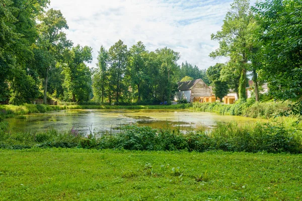 Naturskön Grön Damm Landet Solig Dag — Stockfoto