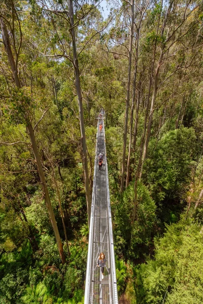 Вертикальний Знімок Людей Ходять Підвісному Мосту Лісі Під Сонячним Світлом — стокове фото