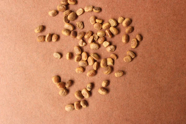 Семена Chironji Известный Charoli Cuddapah Миндаль Изолированы Коричневом Фоне — стоковое фото