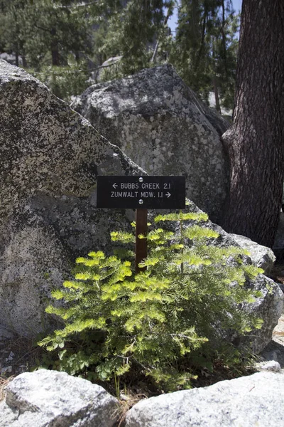 Vertical Shot Bubbs Creek Direction Sign Forest Sunlight — Stock Photo, Image