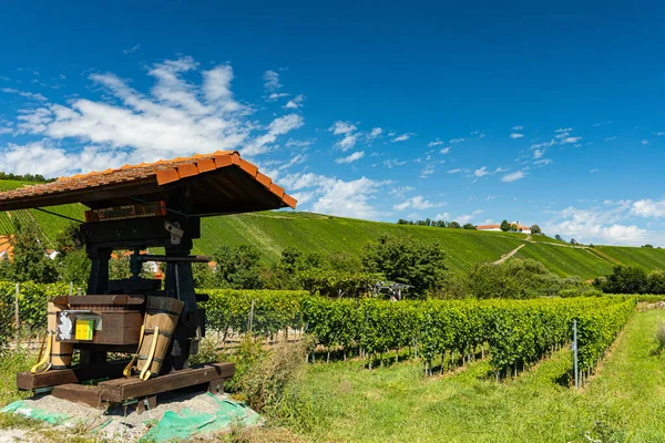 Blick Über Die Weinberge Bei Escherndorf Bayern — Stockfoto