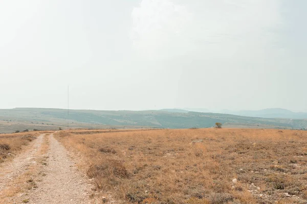 Country Road Empty Steppe Dawn — Stock Photo, Image