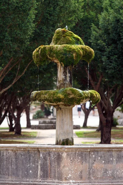 緑の木々に覆われた公園で苔で覆われた層状の噴水の垂直ショット — ストック写真