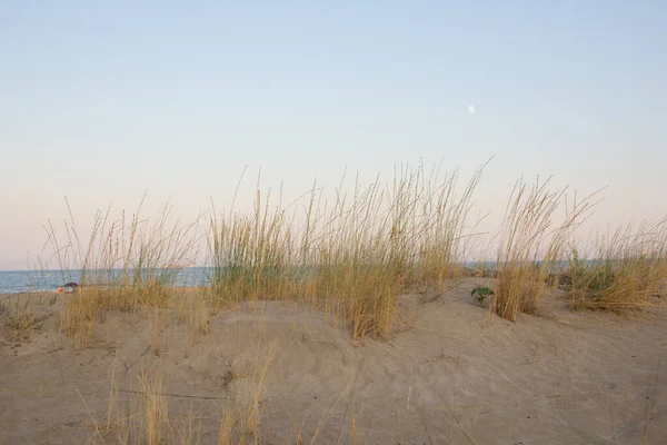 Blick Auf Die Sanddüne Und Den Abendblick Auf Eine Düne — Stockfoto