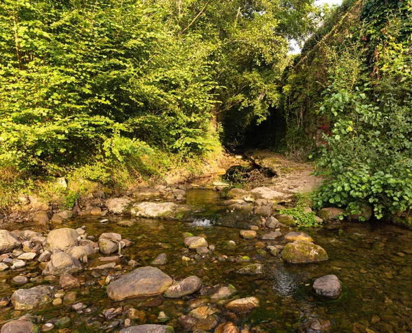 Río Que Fluye Entre Piedras Denso Bosque Verde Con Árboles —  Fotos de Stock