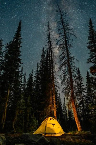 Vertikal Bild Ett Tält Skogen Natten Stjärnklar Himmel — Stockfoto
