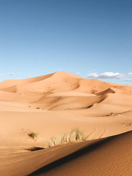 Een Verticaal Shot Van Zand Duinen Een Woestijn — Stockfoto