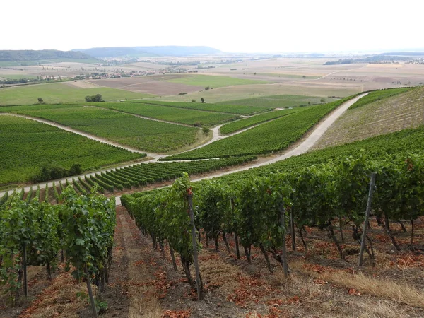 Campos Verdes Vistos Cima Sob Céu Nublado — Fotografia de Stock