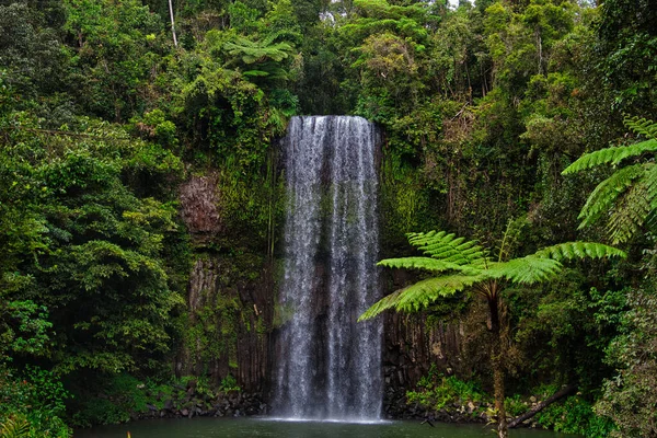 Eine Nahaufnahme Von Einem Kleinen Wasserfall Mit Üppigem Grün Ringsum — Stockfoto