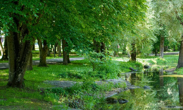 Ein Schöner Kleiner See Park — Stockfoto