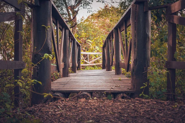 Estrecho Puente Madera Bosque — Foto de Stock