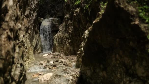 Hermosa Cascada Bosque — Vídeo de stock