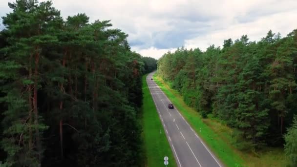 Дорога Через Зелене Поле Лісу Красивим Пейзажем — стокове відео