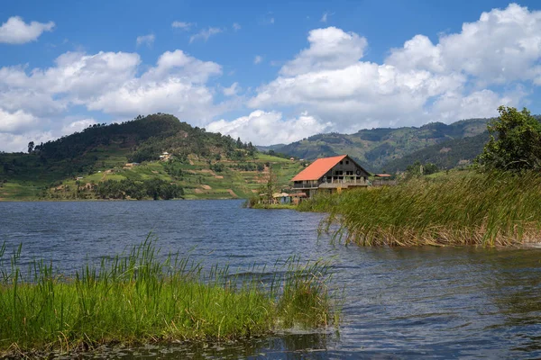 Lago Bunyonyi Sua Área Circundante Com Campos Verdes Árvores Casas — Fotografia de Stock