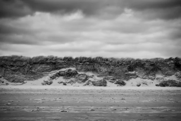Сірий Знімок Морських Хвиль Біля Старих Каменів Сухих Кущів Узбережжі — стокове фото