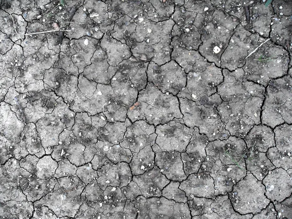 Vytrhané Půdy Erxtrémním Suchu Globální Oteplování Klimatu Německo — Stock fotografie